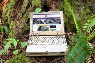 ordenador-rhl6-bosque